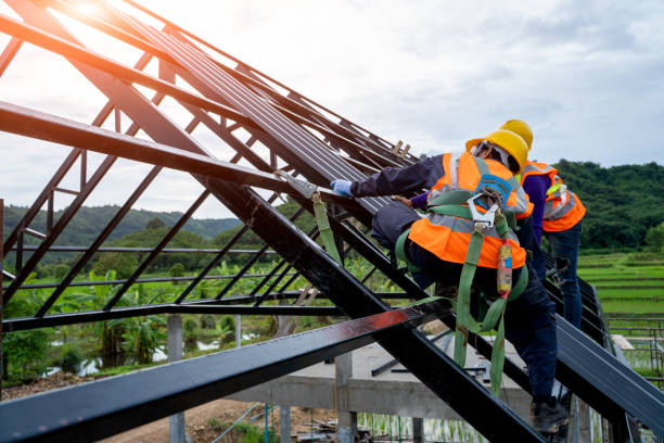 Best Storm Damage Roof Repair  in Clifton, TN