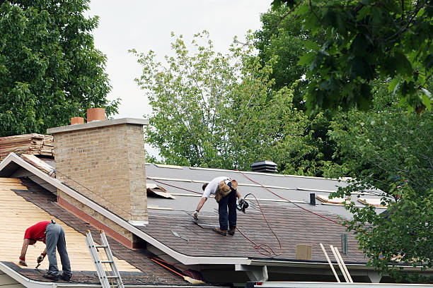 Best Roof Leak Repair  in Clifton, TN