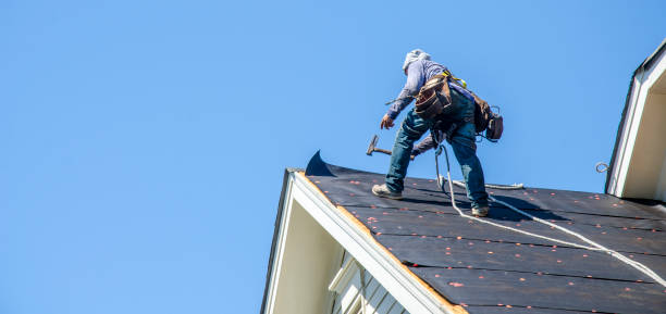 Best Roof Replacement Cost  in Clifton, TN